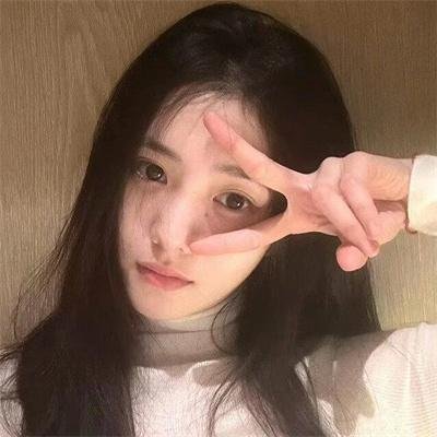 与鲨同泳