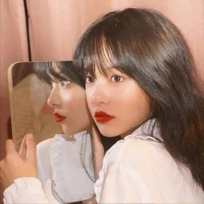 成凰录